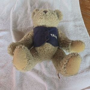 Vintage Mary Meyer Jules Toy Bear Medium Brown Yale Teddy Ivy League Collectible